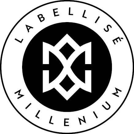 Logo du Millénium des Normands 2027